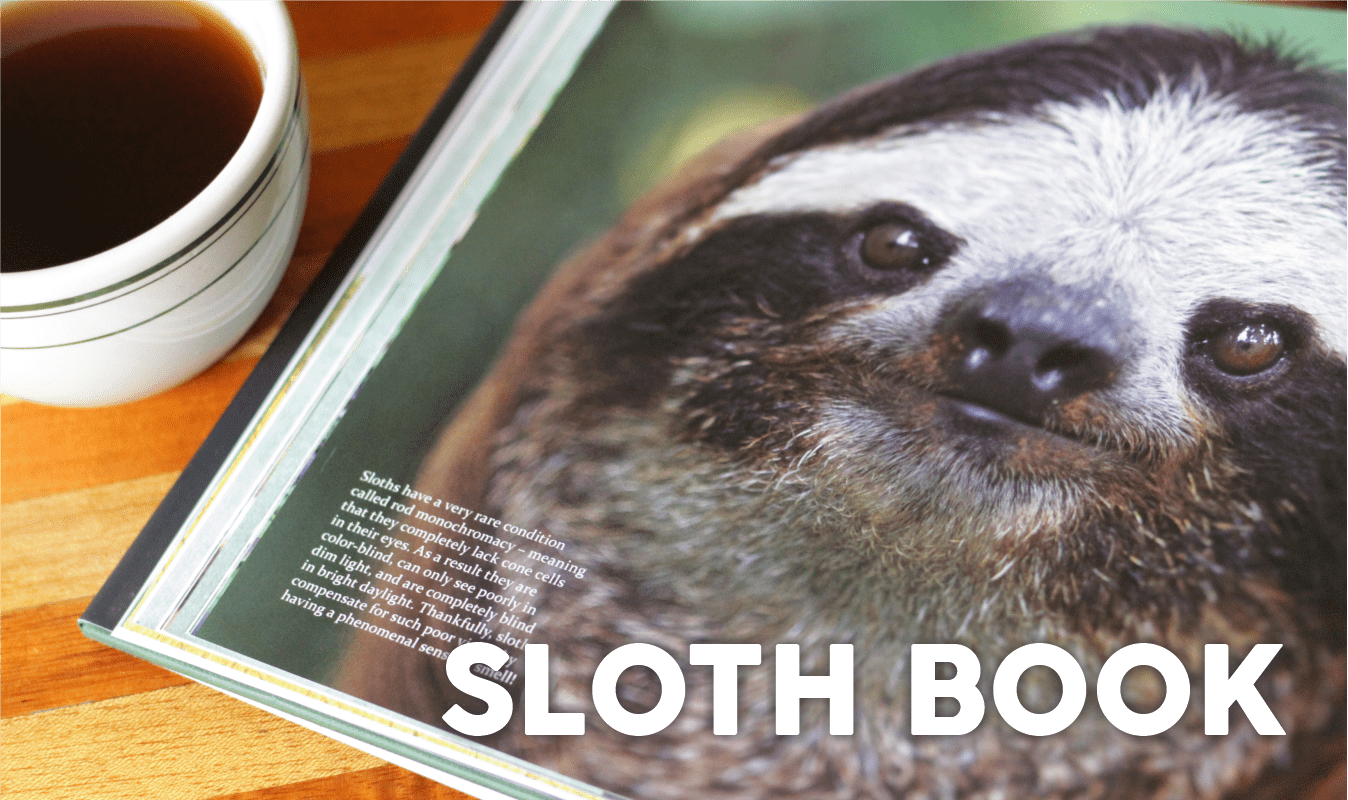 sloth book gift