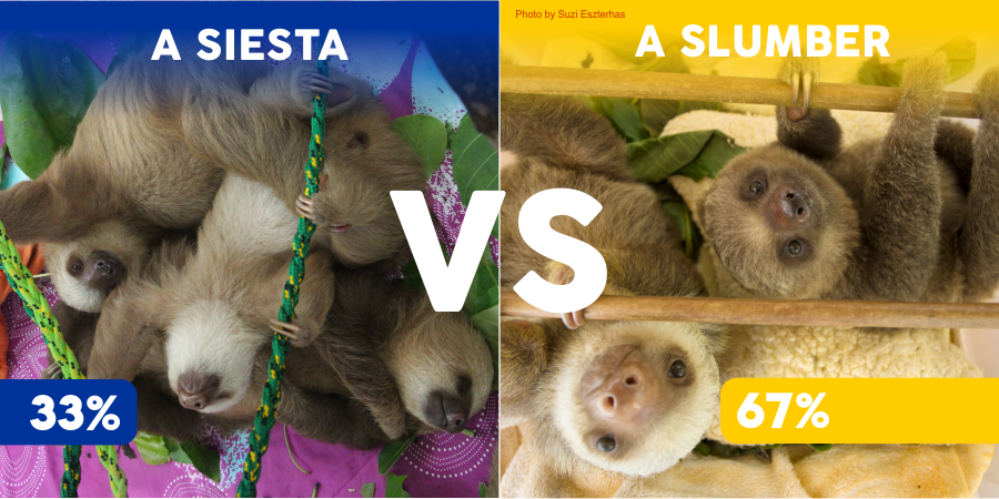 sloth versus