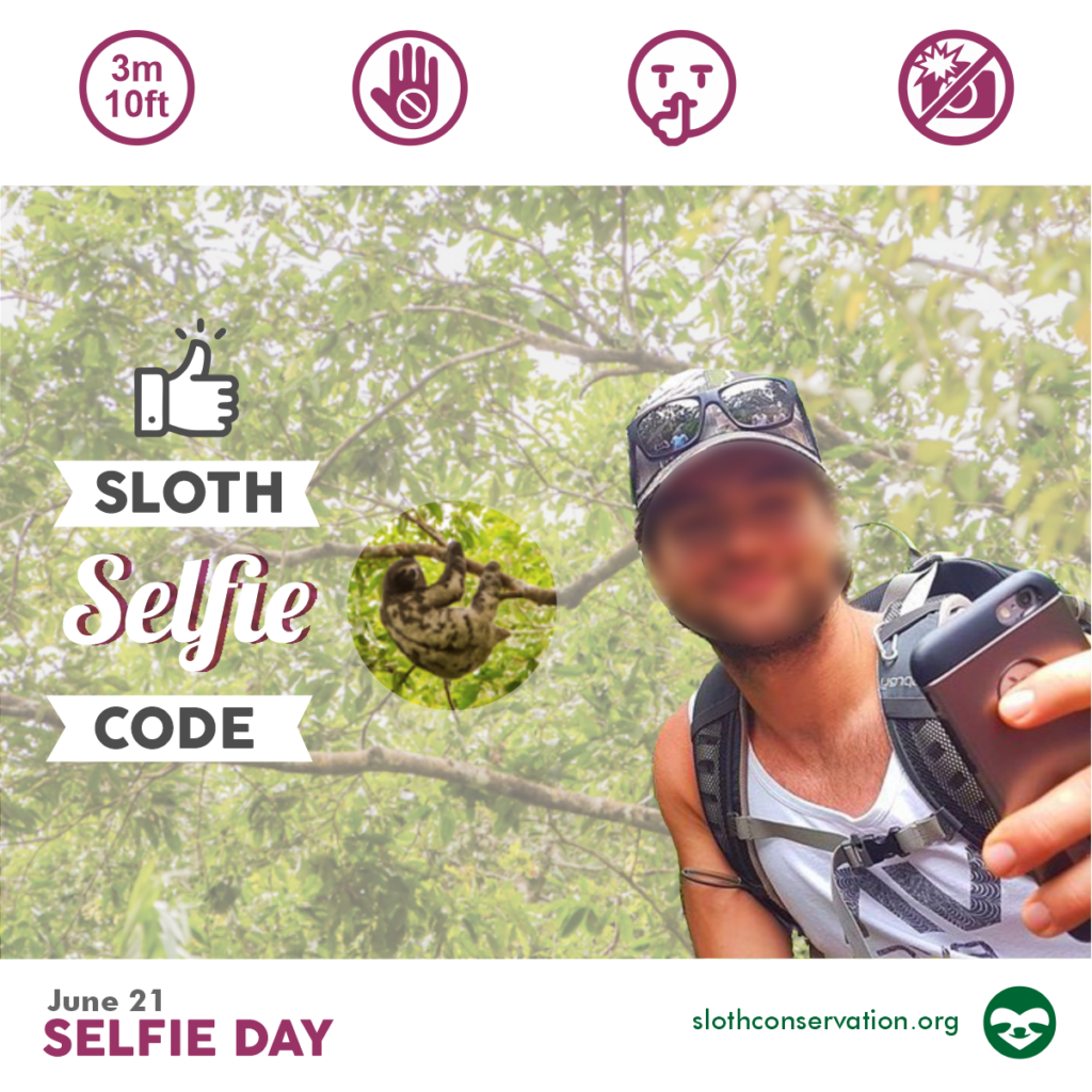 sloth selfie 