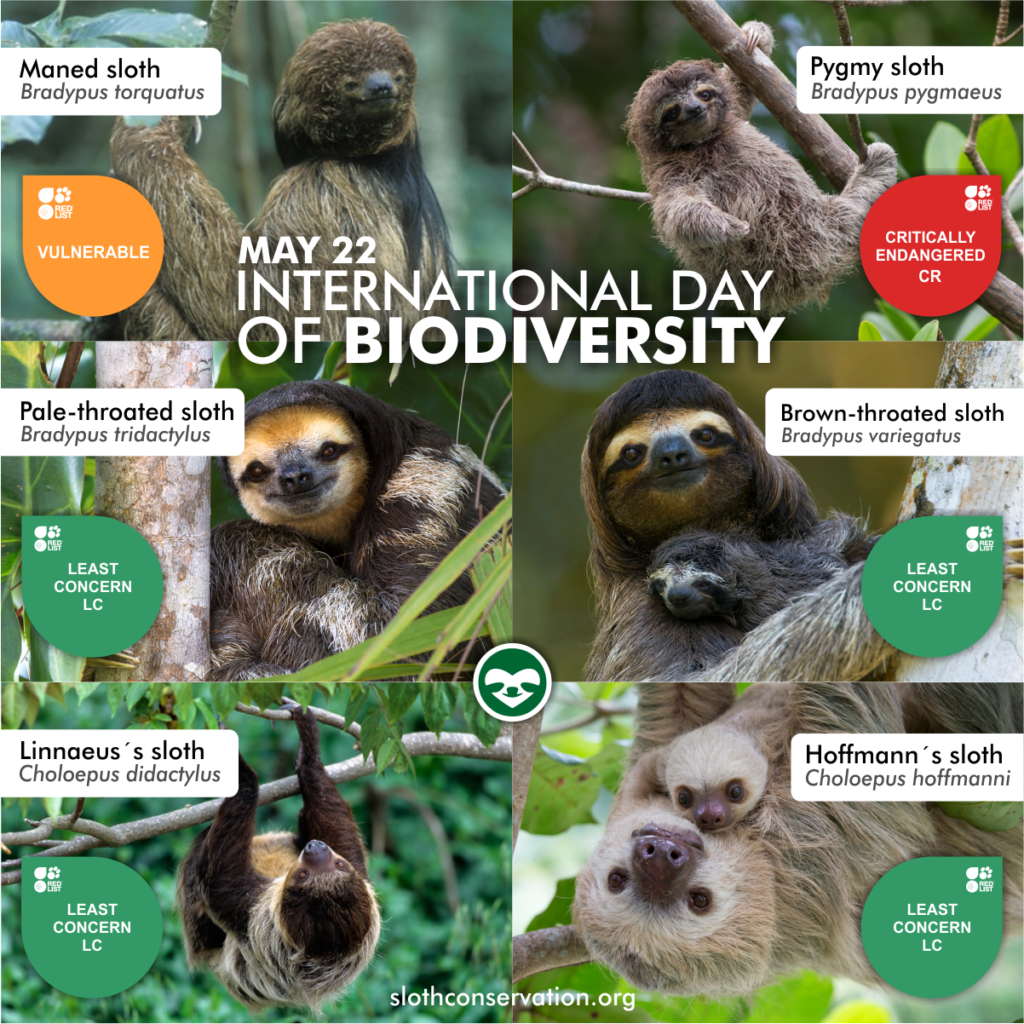 biodiversity day may 