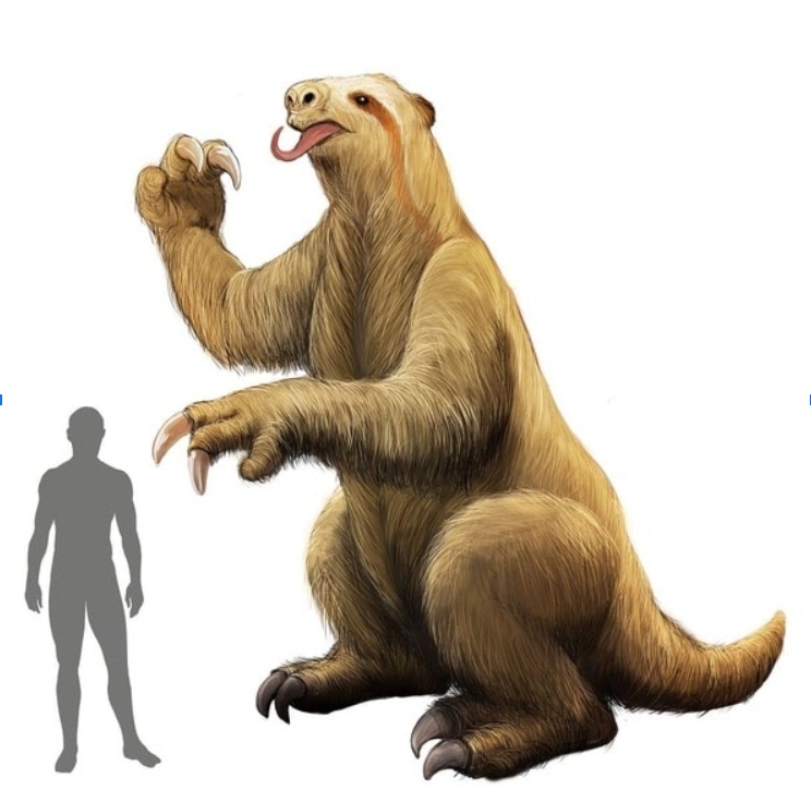 Mylodon Giant Sloth, opportunistic omnivore? - Sloth Conservation
