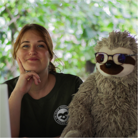 sloth education