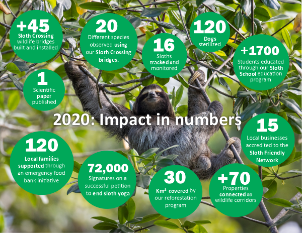 sloth conservation report 2020