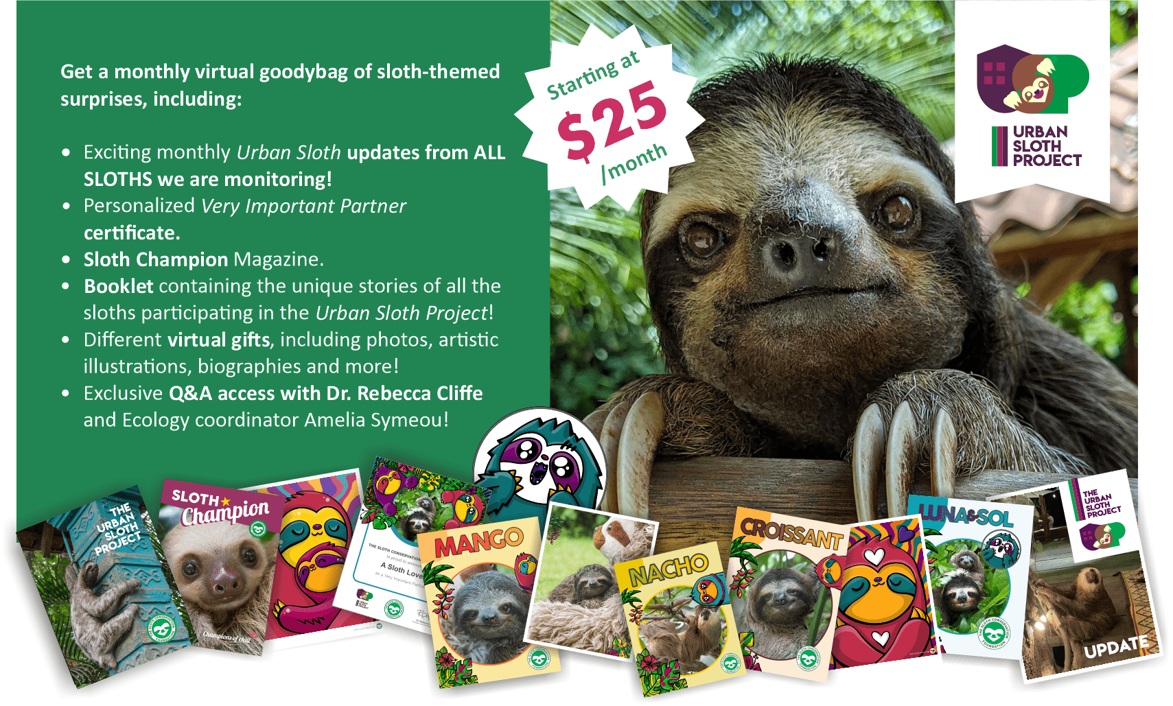 adopt a sloth subscribe