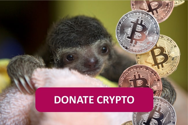donate crypto