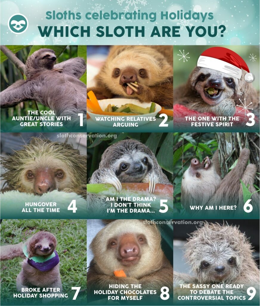 christmas holiday sloth meme