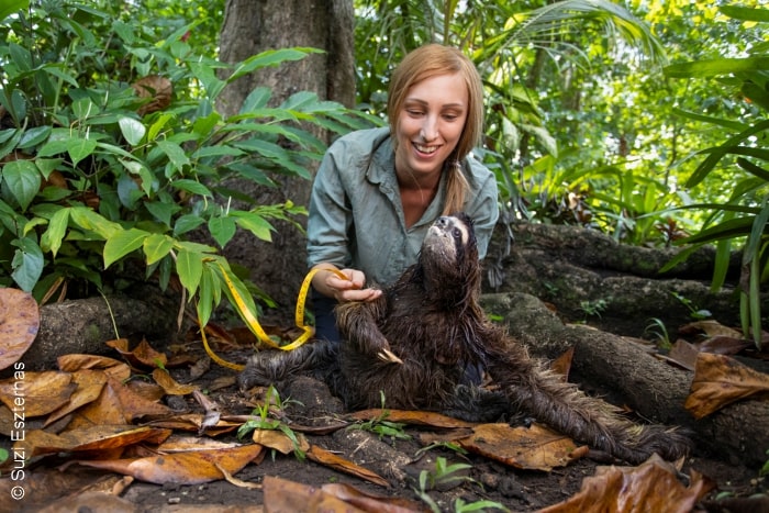 Dr rebecca cliffe with a sloth