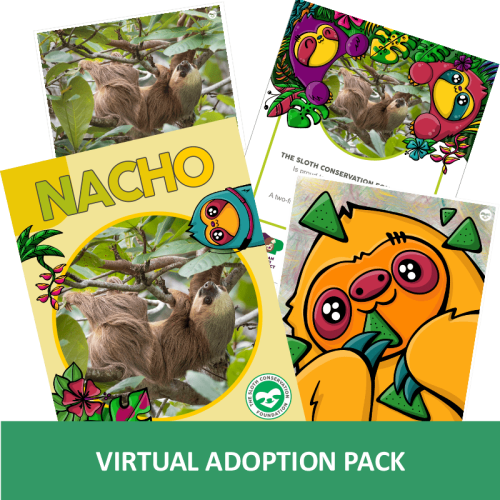 3 virtual adoption pack-min